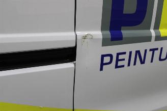 Nissan Primastar  picture 6