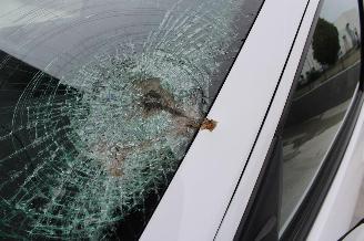 Toyota Yaris  picture 23