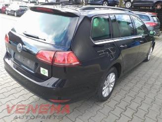 Volkswagen Golf Golf VII Variant (AUVV), Combi, 2013 / 2021 1.4 TGI 16V picture 5