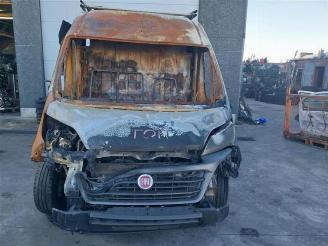 Sloopauto Fiat Ducato  2020/5