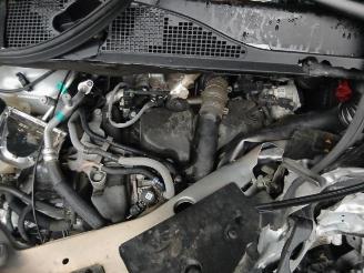 Dacia Dokker Dokker (0S), MPV, 2012 / 2021 1.5 dCi 90 picture 22