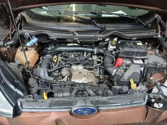 Ford EcoSport EcoSport (JK8), SUV, 2013 / 2022 1.0 EcoBoost 12V 125 picture 24