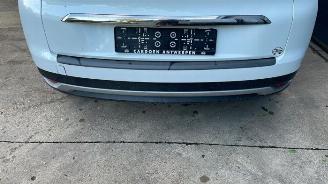 Renault Scenic  picture 11