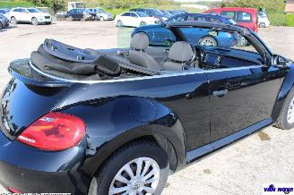 Volkswagen Beetle 5C picture 13