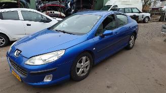  Peugeot 407 2007 2.0 16v RFJ Blauw KNND onderdelen 2007/1