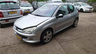 disassembly passenger cars Peugeot 206 2004 1.4 16v KFU Grijs EZRC onderdelen 2004/2