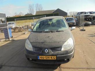 demontáž osobní automobily Renault Grand-scenic Grand Scenic II (JM), MPV, 2004 / 2009 1.9 dCi 130 2006/1