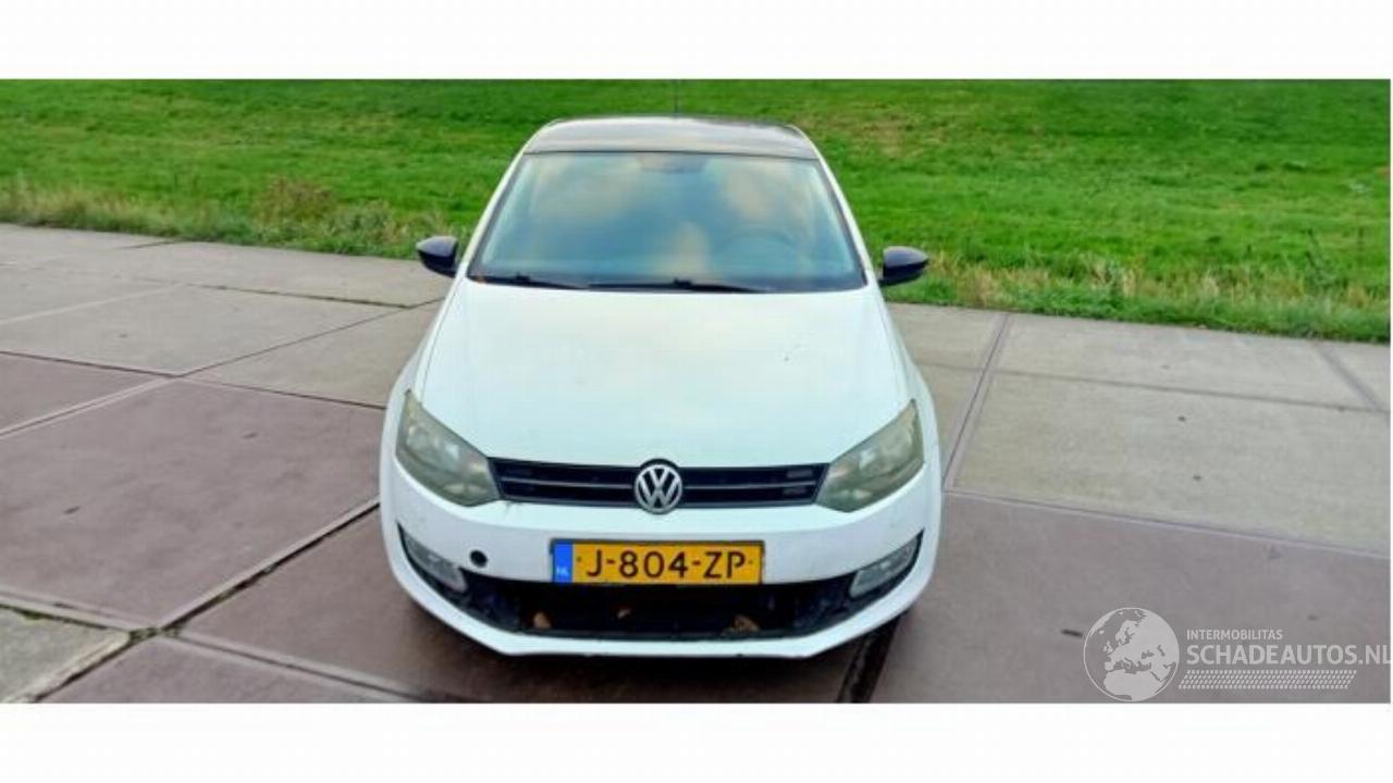 Volkswagen Polo Polo V (6R), Hatchback, 2009 / 2017 1.2 12V