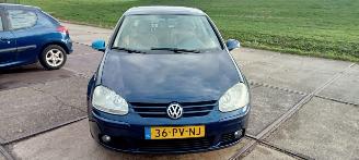 Volkswagen Golf 2005/1