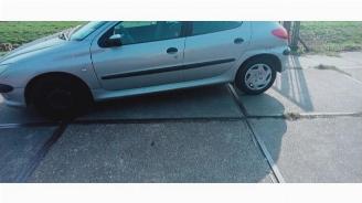 Peugeot 206 206 (2A/C/H/J/S), Hatchback, 1998 / 2012 1.4 XR,XS,XT,Gentry picture 2