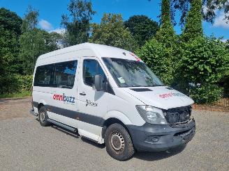 škoda osobní automobily Mercedes Sprinter 314 CDI Aut 9 Stoelen + Rolstoellift 2017/11