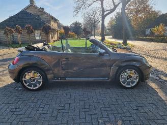 Volkswagen Beetle Cabrio 2.0 TDI 103 KW Stoelver Navi Xenon picture 6