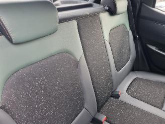 Dacia Spring Extreme 65 Airco Navi Camera picture 11