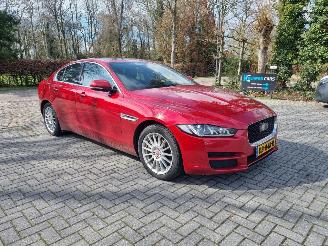 škoda osobní automobily Jaguar XE 20d E-Performance Portfolio Pano Navi 2016/4