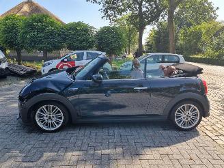 Mini Cooper S Cabrio Aut Navi Led Stoelverw picture 6