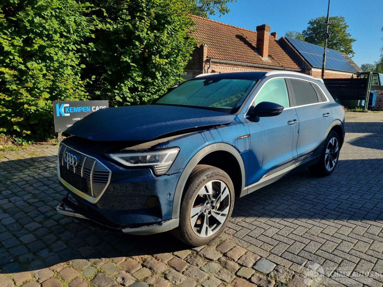 Audi E-tron 50 Quattro 71Kwh Stoelverw.