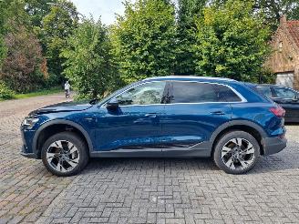 Audi E-tron 50 Quattro 71Kwh Stoelverw. picture 2