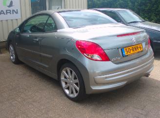 Peugeot 207 cc roland garros picture 2