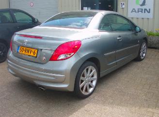 Peugeot 207 cc roland garros picture 3