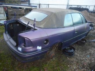 Coche siniestrado Opel Cabrio  1996/1