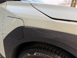 Kia EV3 81.4 kWh 204PK Aut. Earth DriveWise VOL! picture 41