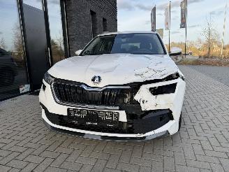 Skoda Kamiq 1.0 TSI 110PK DSG7 Style picture 16