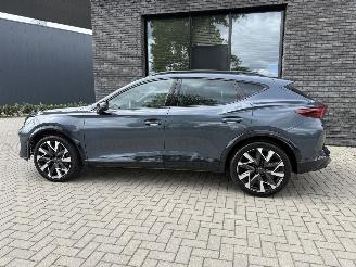 Cupra Formentor VZ NEW MOD! 2.0 TSI 4Drive 333PK DSG7 picture 16