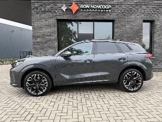 Auto incidentate Cupra Terramar NEW! 2.0 TSI 4Drive 265PK DSG Performance 2026/6