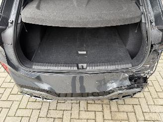 Cupra Terramar NEW! 2.0 TSI 4Drive 265PK DSG Performance picture 44