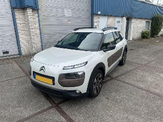 uszkodzony samochody osobowe Citroën C4 cactus Camera!Navi! Riem v.v. 2015/1