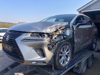 Lexus NX NX300 AWD picture 5