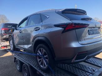 Lexus NX NX300 AWD picture 3