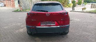 Mazda CX-30 1.8-Diesel Navi Leder Led-Koplampen Led-Achterlichten Elektrische achterklep Head up Display Bose-sound systeem Privacy glas Blindspot systeem picture 6