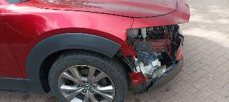 Mazda CX-30 1.8-Diesel Navi Leder Led-Koplampen Led-Achterlichten Elektrische achterklep Head up Display Bose-sound systeem Privacy glas Blindspot systeem picture 17
