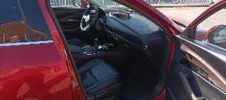 Mazda  Cx-30 Executive-Line Navi Leder-memory Climatecontrol CruiseControl Stoelverwarming Lichtautomaat Privacyglas keyless Entry Blindspot Drivelane Achteruitrijcamera Elektrische achterklep Led koplampen led achterlichten 18-inch Velgen picture 24