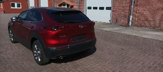 Mazda  Cx-30 Executive-Line Navi Leder-memory Climatecontrol CruiseControl Stoelverwarming Lichtautomaat Privacyglas keyless Entry Blindspot Drivelane Achteruitrijcamera Elektrische achterklep Led koplampen led achterlichten 18-inch Velgen picture 9