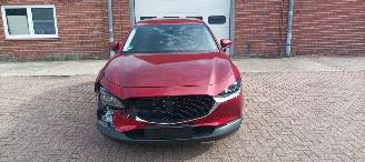 Mazda CX-30 Bj: 08-2019 1.8-Diesel Full-Led Leder Sportstoelen Memory Navi Dab Bose sound Keyless entry Blindspot Drivelane Privacy glas Elektrische achterklep Led verlichting Parkeersensoren voor en achter picture 10