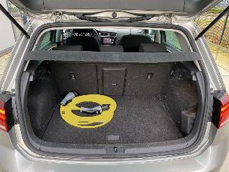 Volkswagen Golf e-Golf  -NAVI-PDC picture 11