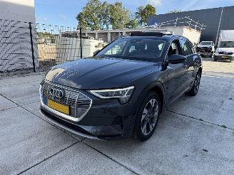 skadebil auto Audi E-tron 50 QUATTRO Launch edition plus 71 kWh PANO - NAVI - LEDER 2019/12