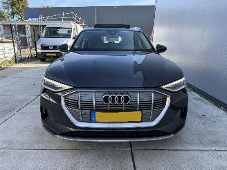 Audi E-tron 50 Quatro Launch Edition Plus 71 kWh PANO-LEDER-NAVI-PDC picture 14