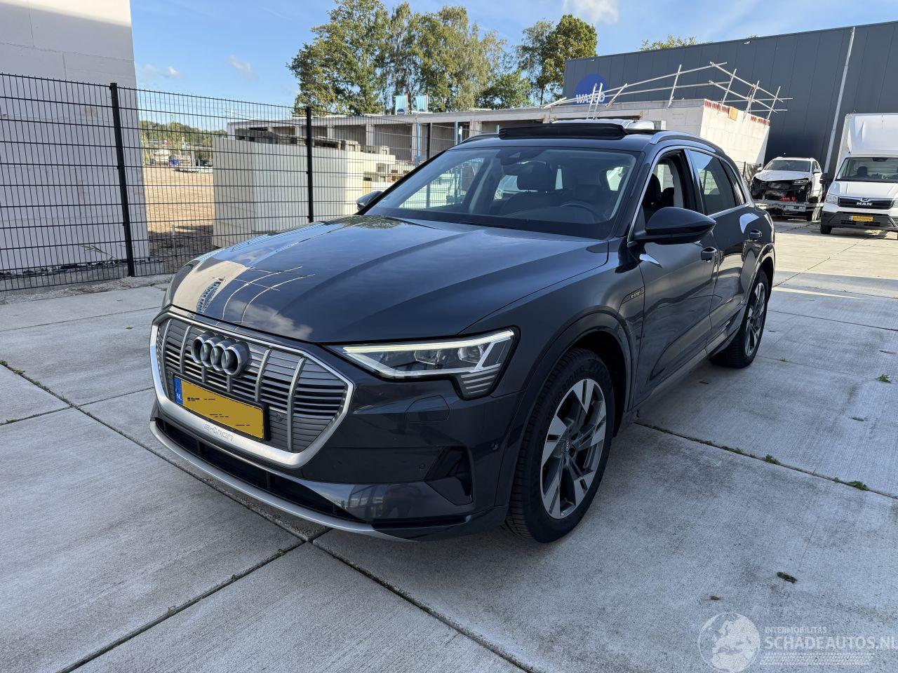 Audi E-tron 50 Quatro Launch Edition Plus 71 kWh PANO-LEDER-NAVI-PDC