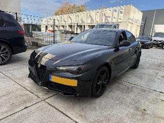 Voiture accidenté Alfa Romeo Giulia 2.0T Super 200PK - NAVI - KEYLESS - CAMERA - LEDER 2017/4
