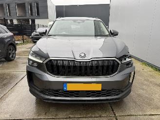 Skoda Kodiaq 1.5 TSI PHEV DSG  225 PK CAMERA-LEDER-NAVI picture 13