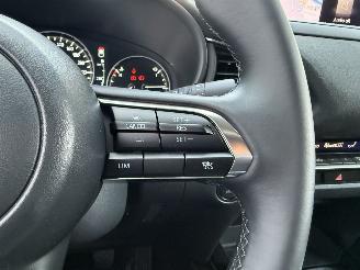 Mazda CX-30 2.5 e-SkyActiv-G M Hybrid Nagisa-LEDER-CAMERA-NAVI-HUD picture 19