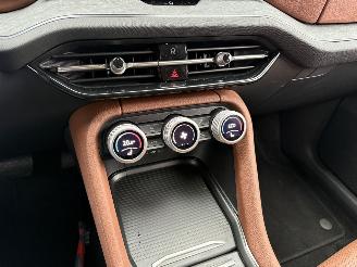 Skoda Kodiaq 1.5 TSI PHEV DSG 225 PK CAMERA-NAVI-LEDER-PDC picture 19