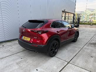 Mazda CX-30 2.5 e-SkyActive-G M Hybrid Nagisa-LEDER-HUD-NAVI-CAMERA picture 5