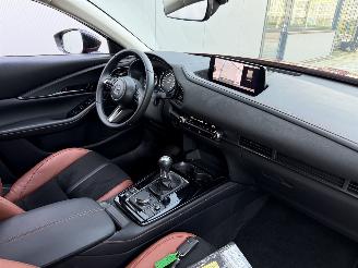 Mazda CX-30 2.5 e-SkyActive-G M Hybrid Nagisa-LEDER-HUD-NAVI-CAMERA picture 6