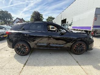 Cupra Terramar 1.5 TSI e-Hybrid VZ Performance 272PK PANO - LED - KEYLESS - HUD picture 7