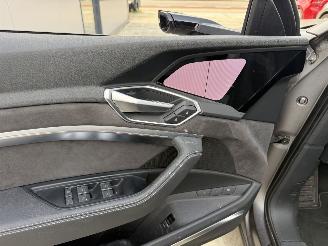 Audi E-tron 55 QUATRO Advanced 95 kWh -LEDER-NAVI-360 CAMERA-PANO picture 15