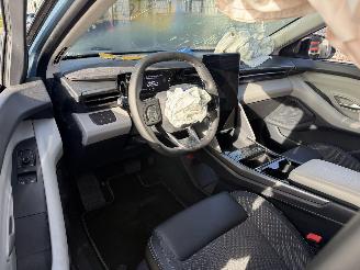 Ford Explorer Extended Range RWD 77 kWh-NAVI-CAMERA-PDC-CRUISE-210 KW picture 3